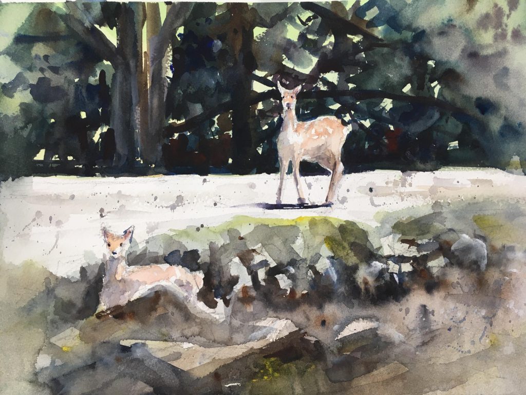 奈良公園の鹿たち　　　　　　　　　　　　　　　　　　　　　　　　　　　　　　　　　　　　　　　　　　　　　