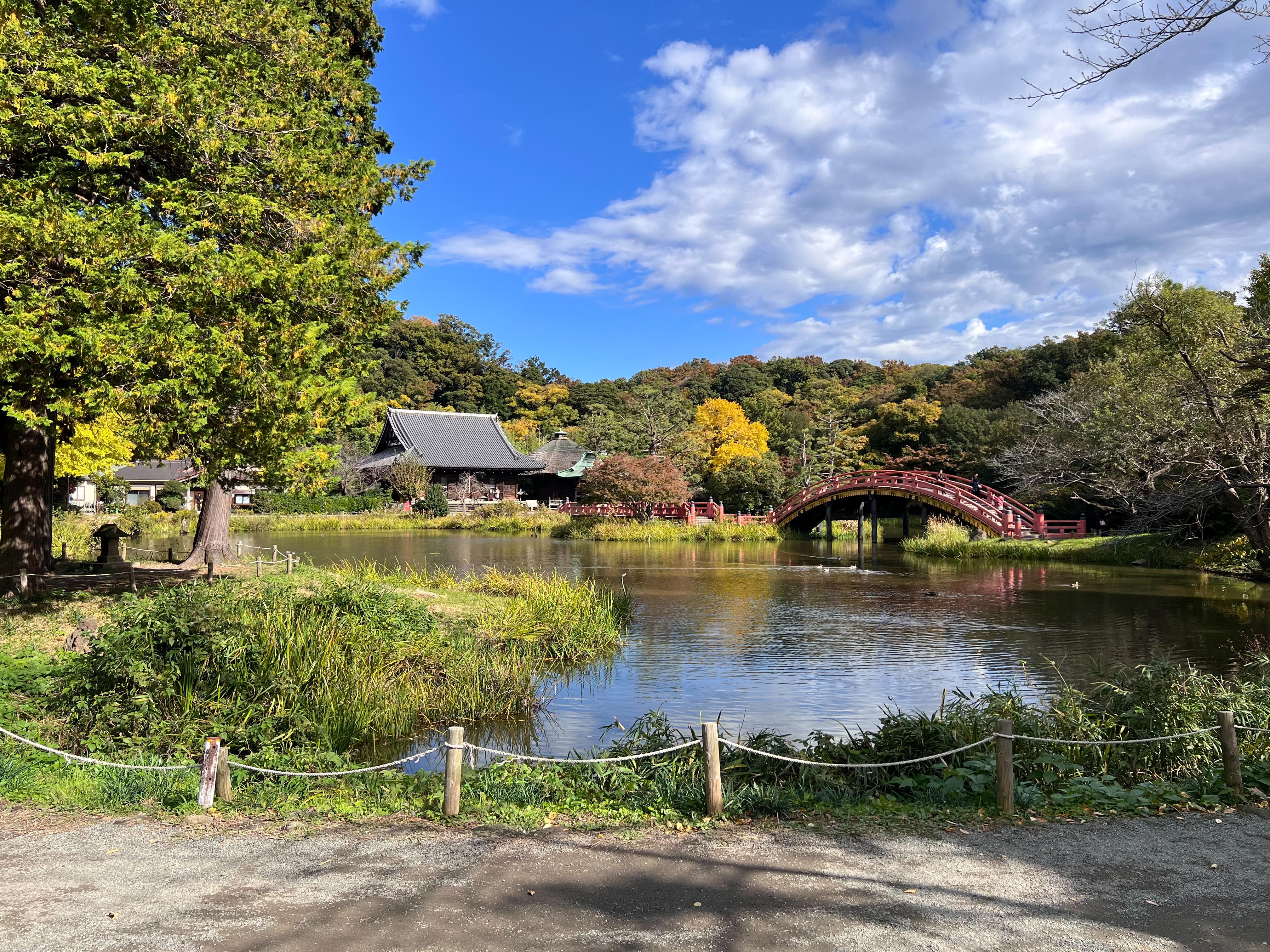 水彩画原画風景画称名寺　金の森の子どもたち 今日は金沢文庫 「称名寺」のスケッチ : 赤坂孝史の水彩画