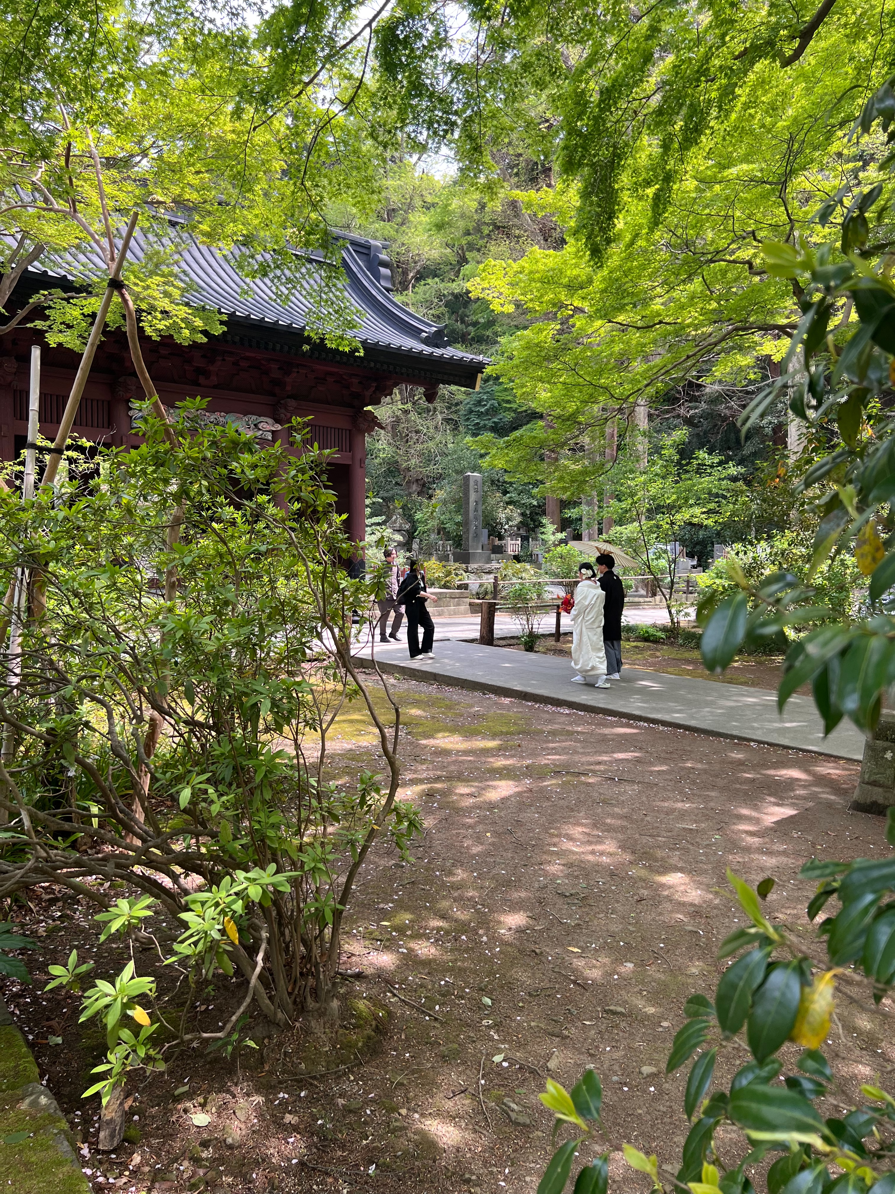 S__5005320.jpg