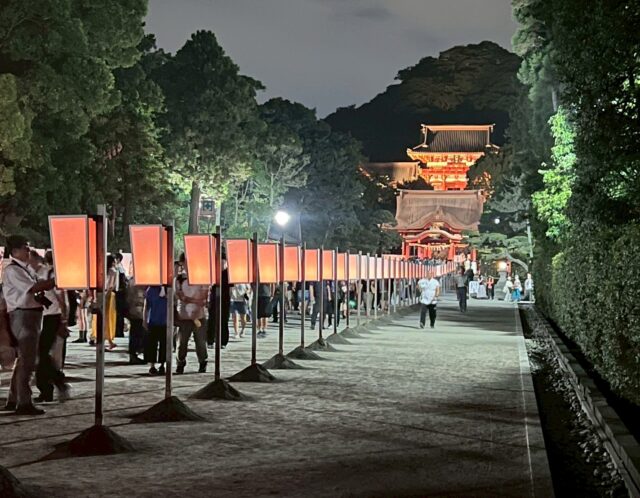 【鎌倉ぼんぼり祭】日本の美を堪能。鶴岡八幡宮の夜を優しく照らすぼんぼりロードを歩こう！